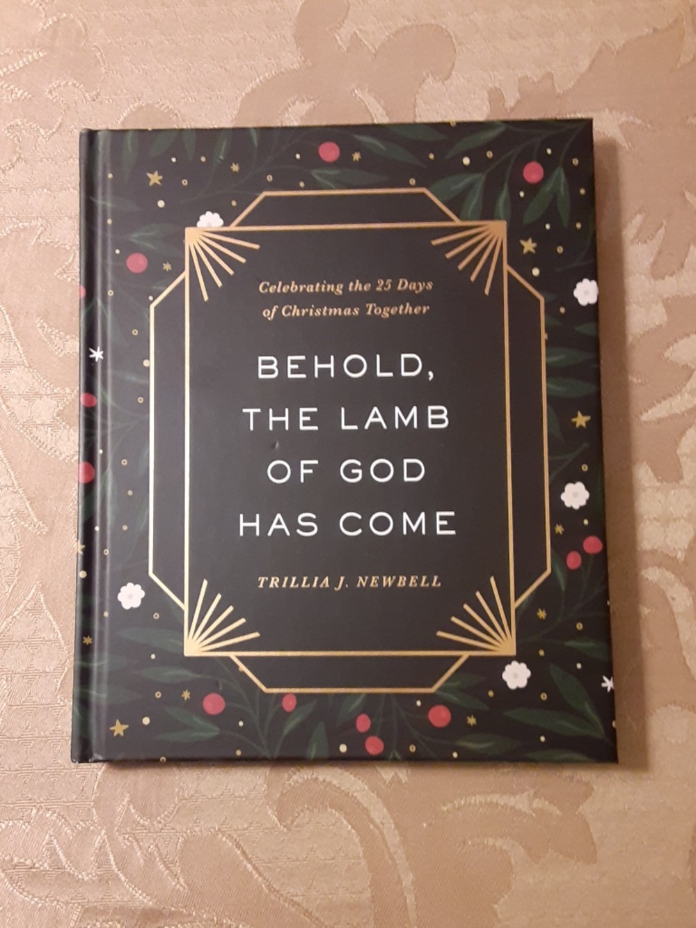 Behold The Lamb Of God Has Come Hardback Book
